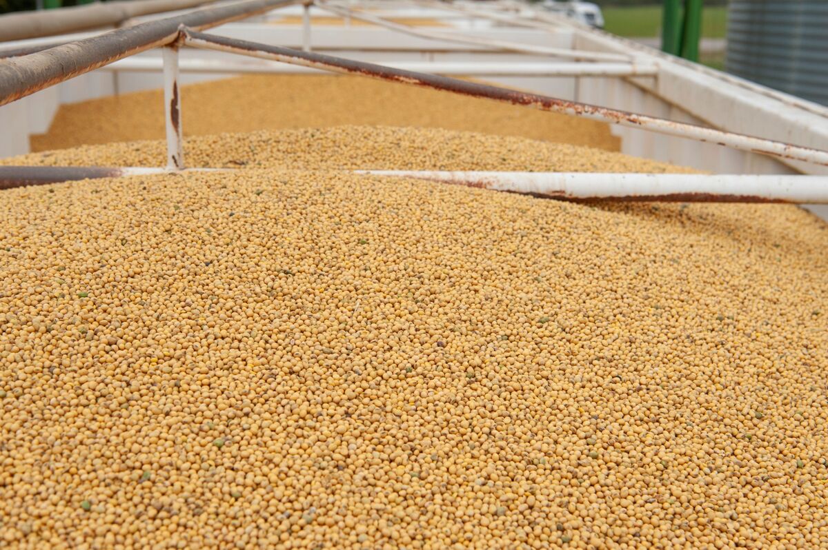 China Stepping Up Soy Auctions as It Buys More Beans From US