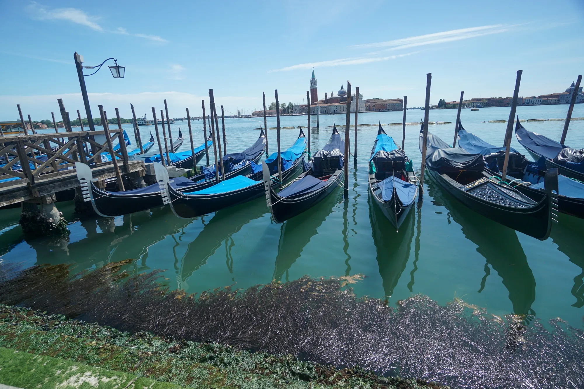 Pandemic Delivers Small Environmental Win For Venice