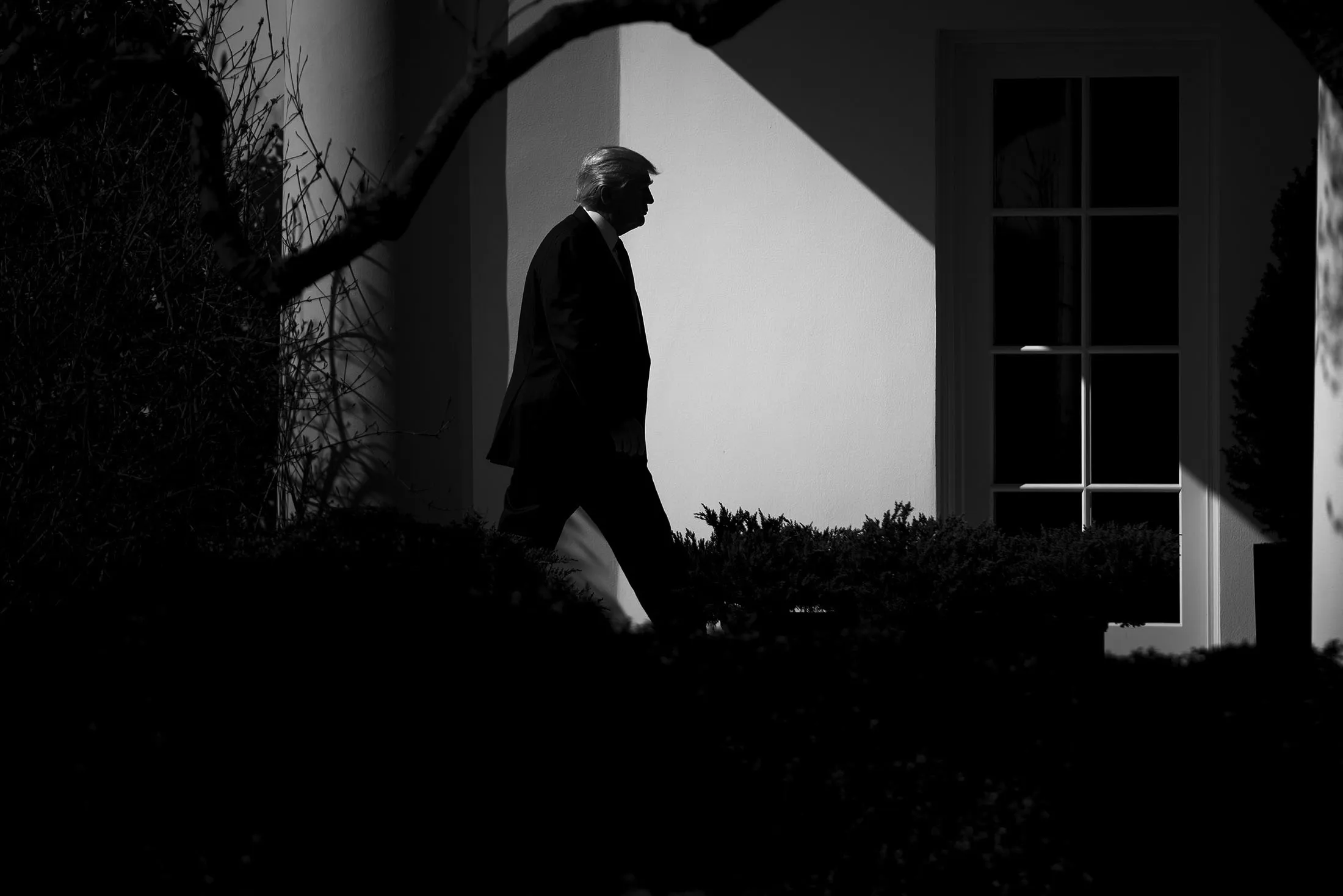 Trump regulation