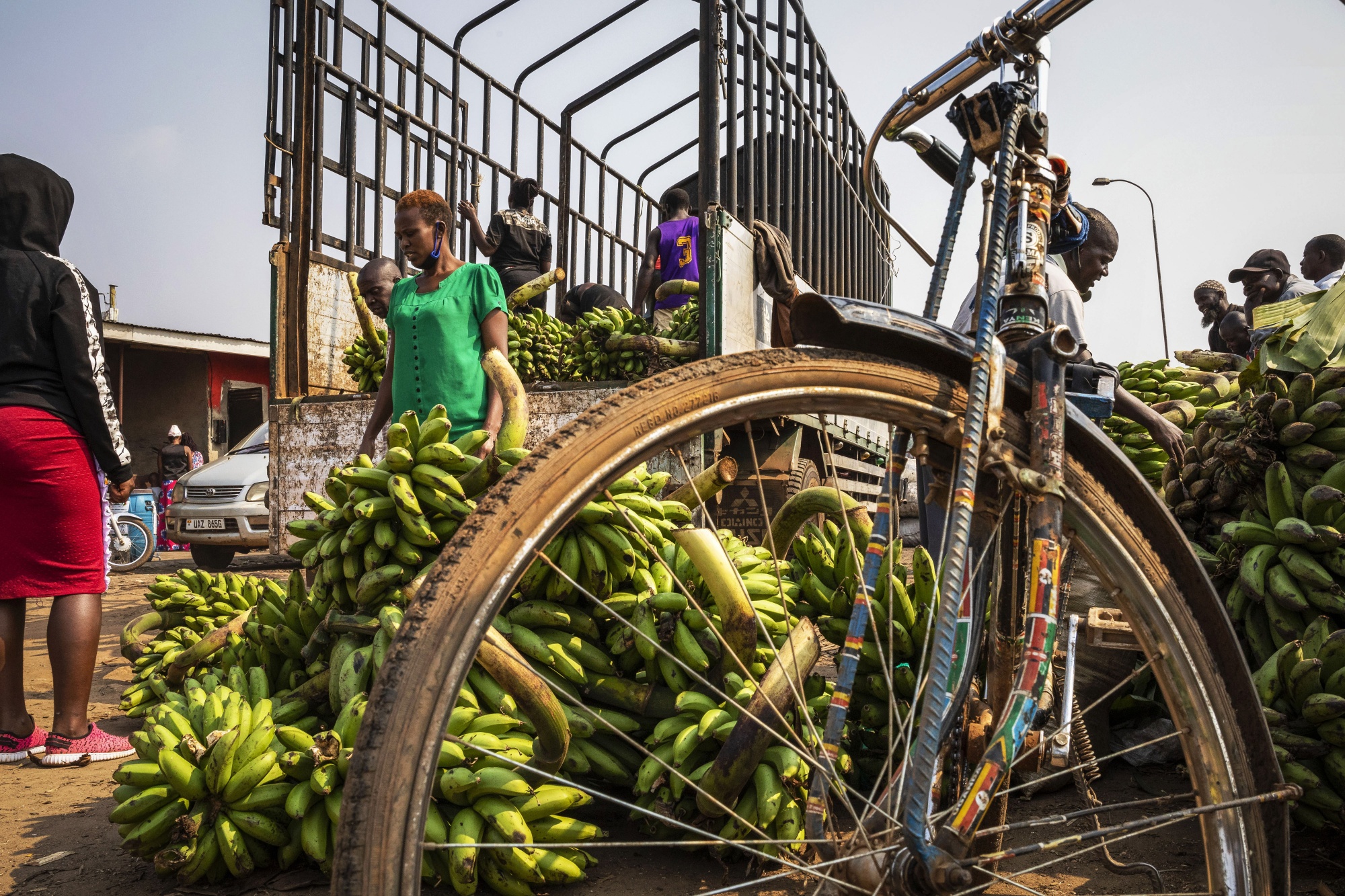 Vendors of&nbsp;matooke, or&nbsp;East African Highland bananas, offload&nbsp;a delivery truck&nbsp;at&nbsp;Ggaba market in Kampala, Uganda on&nbsp;July 23, 2020.&nbsp;