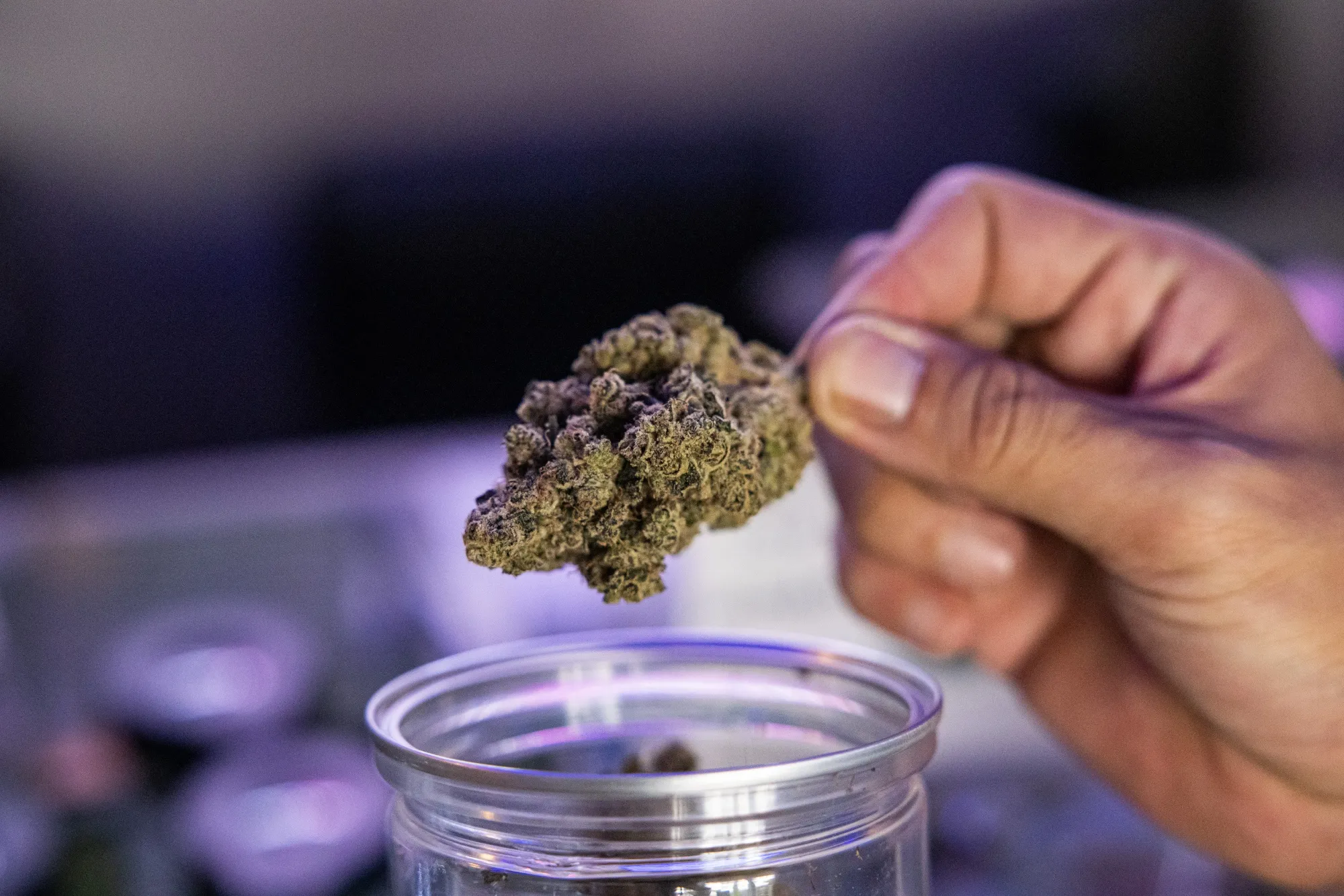 Thailand's Cannabis Industry Clouded as Legal Threats Emerge