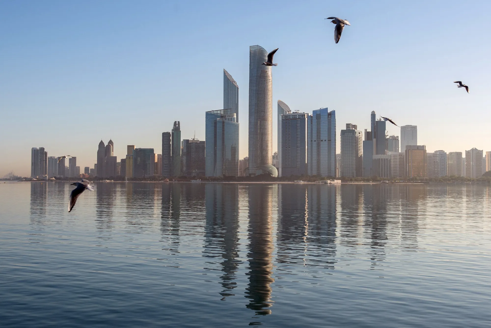 City of Abu Dhabi’s waterfront skyline captured from afar. Sea birds are seen flying in the foreground.