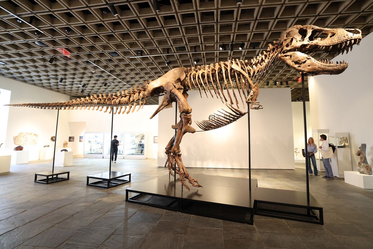 T. Rex Sells for Record $50 Million at Sotheby’s Auction