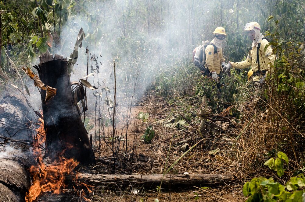 Amazon Fires Another Warning For Brazil Stocks Jpmorgan Says Bloomberg