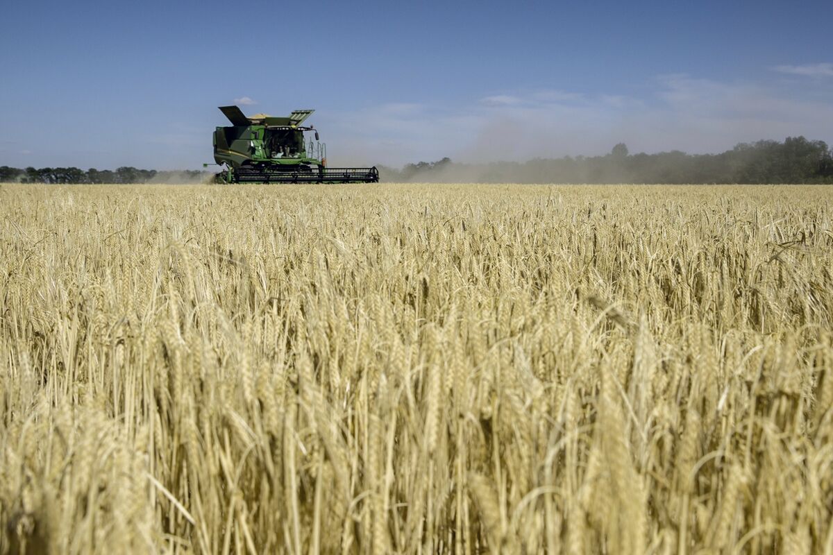 EU Opens Crisis Fund for Nations Under Influx of Ukraine Crops