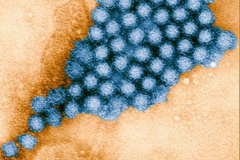 'Cruise Ship Virus' Sickens 20 Million Americans on Land Each Year