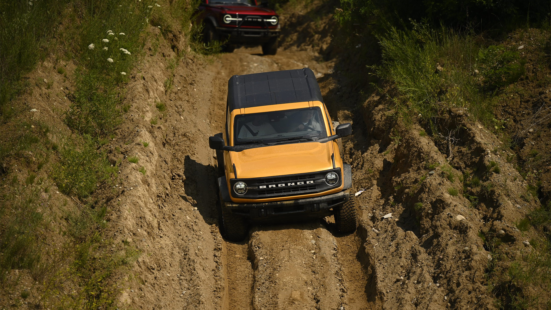 Revealing our 2021 Ford Bronco and then immediately building  it![TRANSFORMATION] 