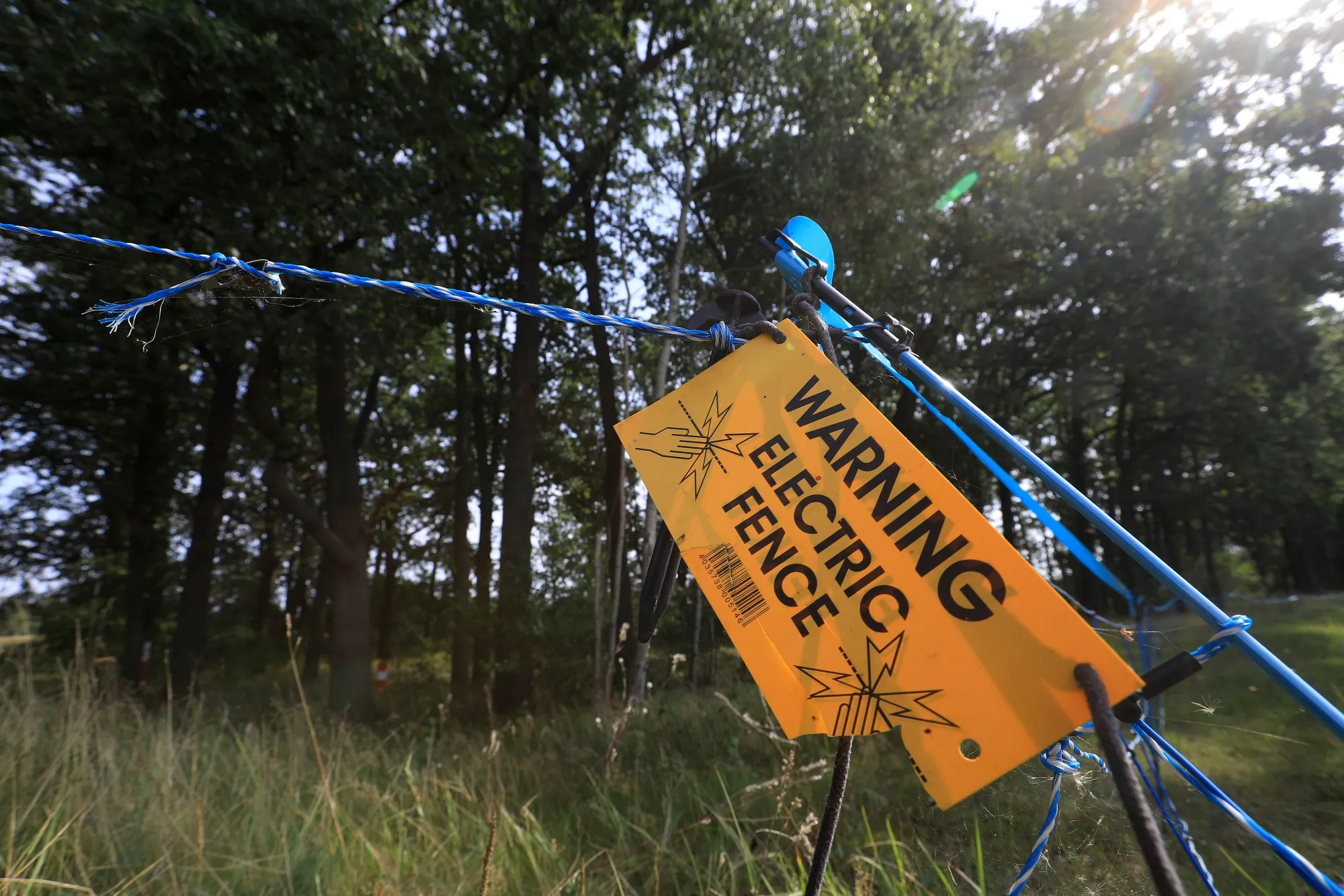 An&nbsp;electric fence to prevent wild pigs from entering from Poland, in Sembten, Germany.