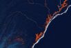 Google Wants to Save the Planet With Satellite Images