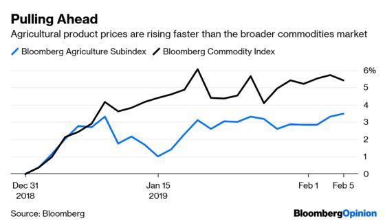 What’s Really Behind the Global Risk Rally? Follow the Money.