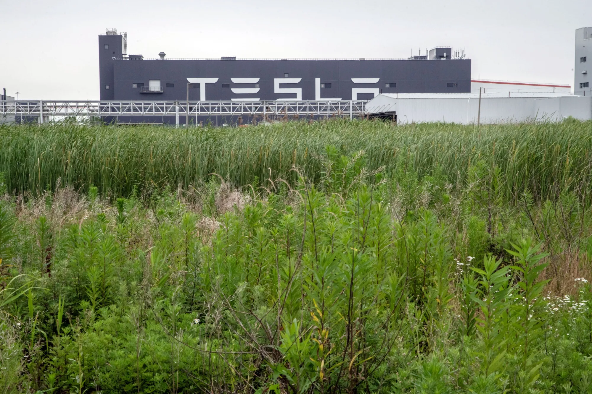 The Tesla Inc. Gigafactory in Shanghai, China.