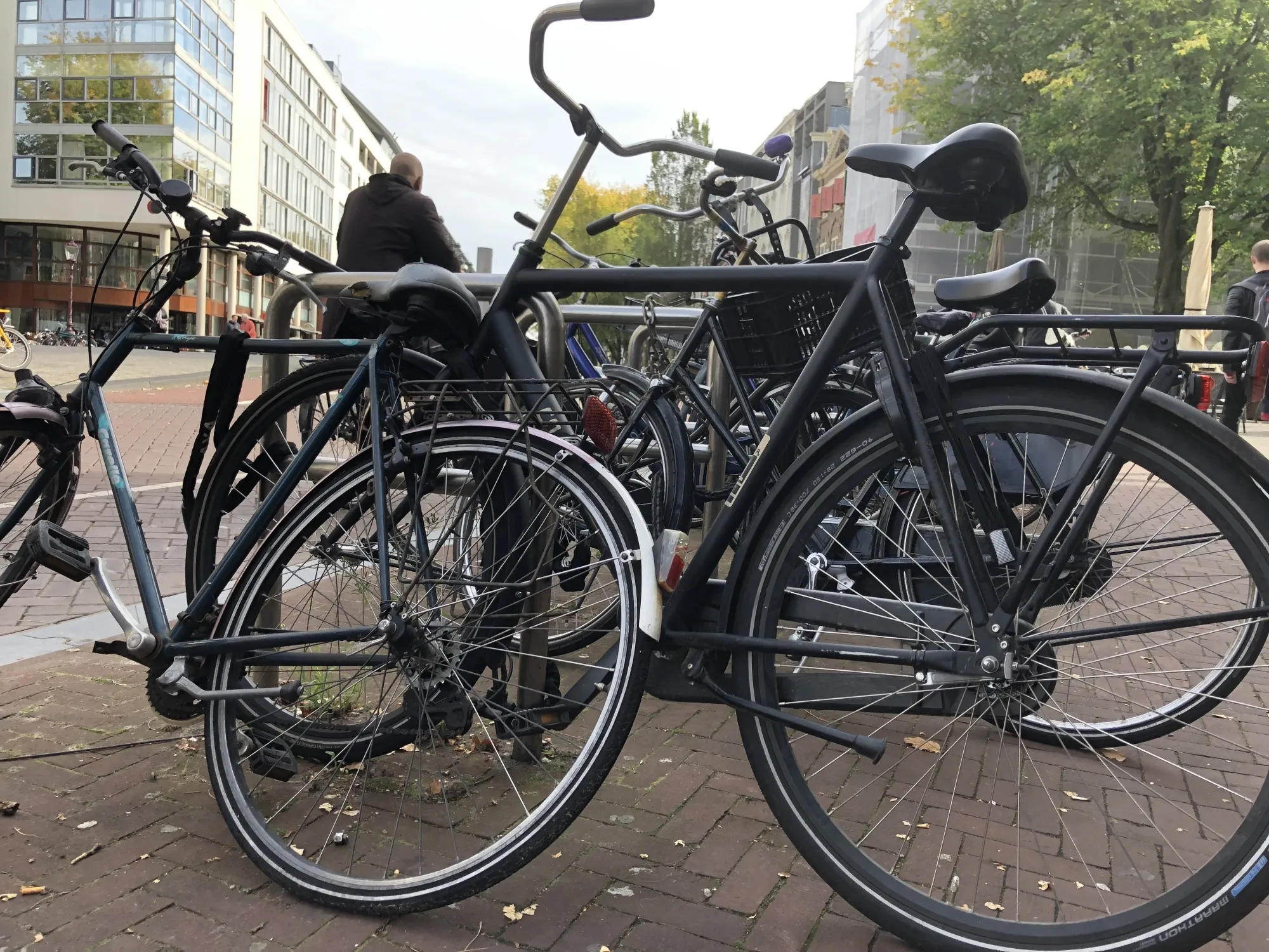 How the Bicycle Conquered Amsterdam - Bloomberg