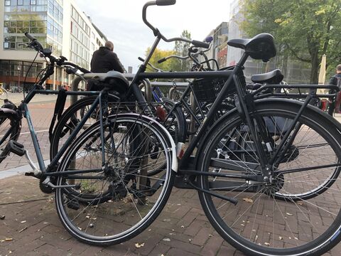 How The Bicycle Conquered Amsterdam - Bloomberg