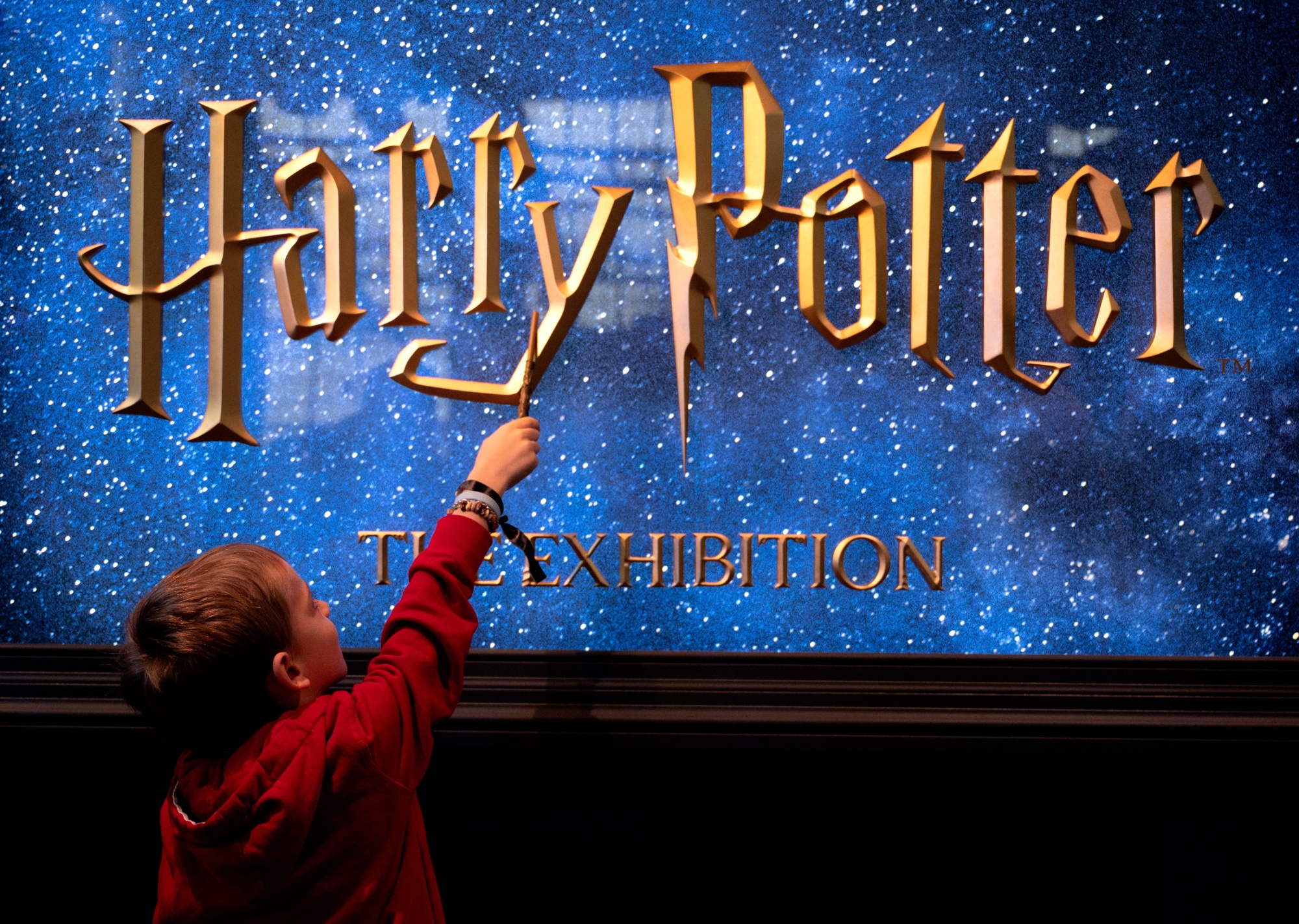 First ever Harry Potter television series ordered by new streaming service,  Max