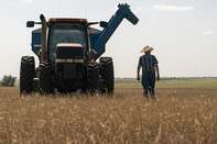 A Wheat Harvest As Grain Futures Mixed With Ukraine And Heat Waves