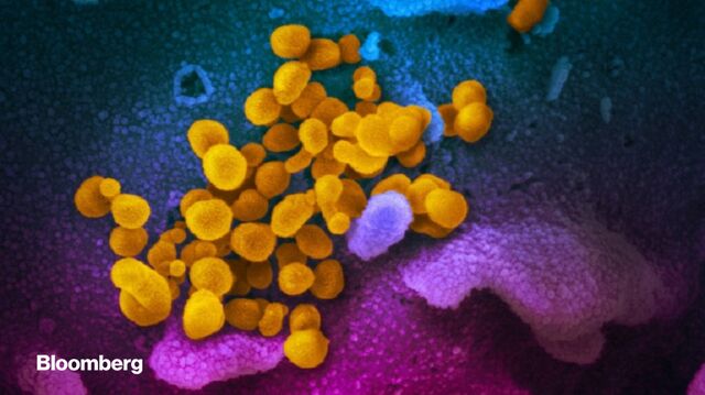 Bloomberg business news