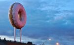 relates to The Importance of a Giant Doughnut