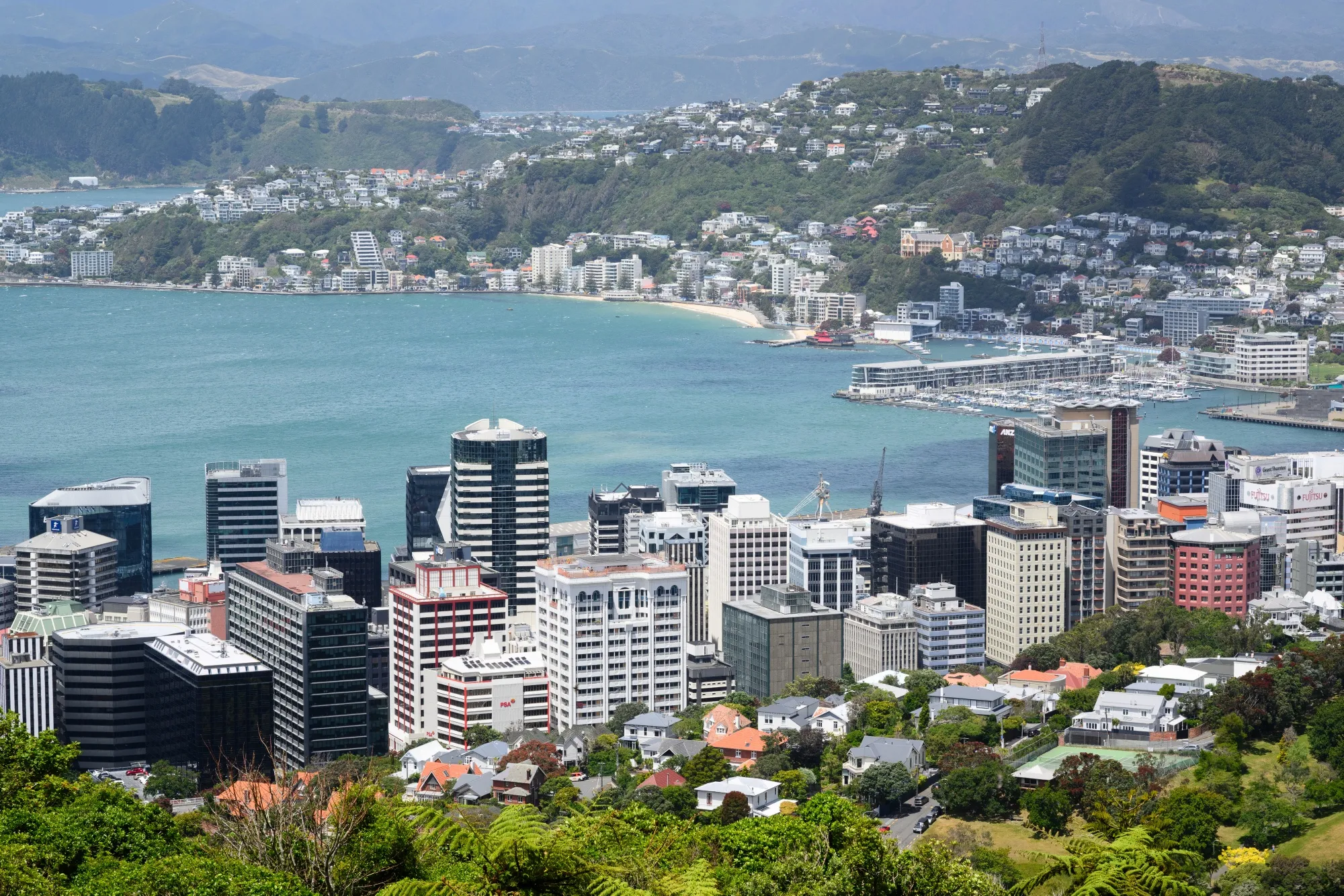 The central business district in Wellington, New Zealand.
