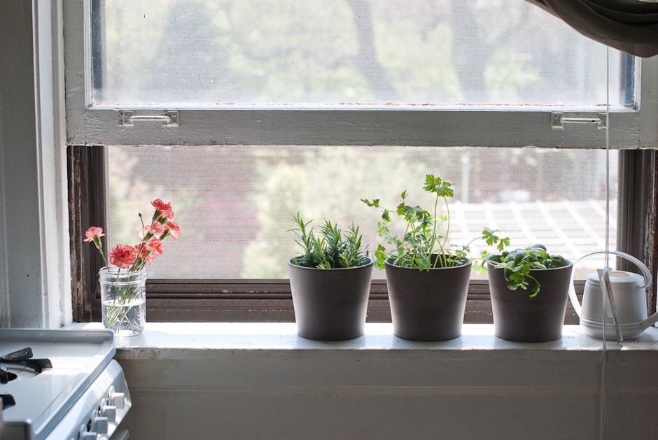 Potted herbs will do well on the window sill. 