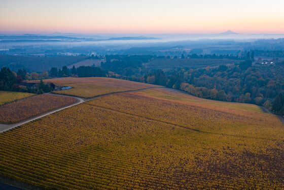 Posh French Winemakers Pounce on Big American Vineyard Selloff