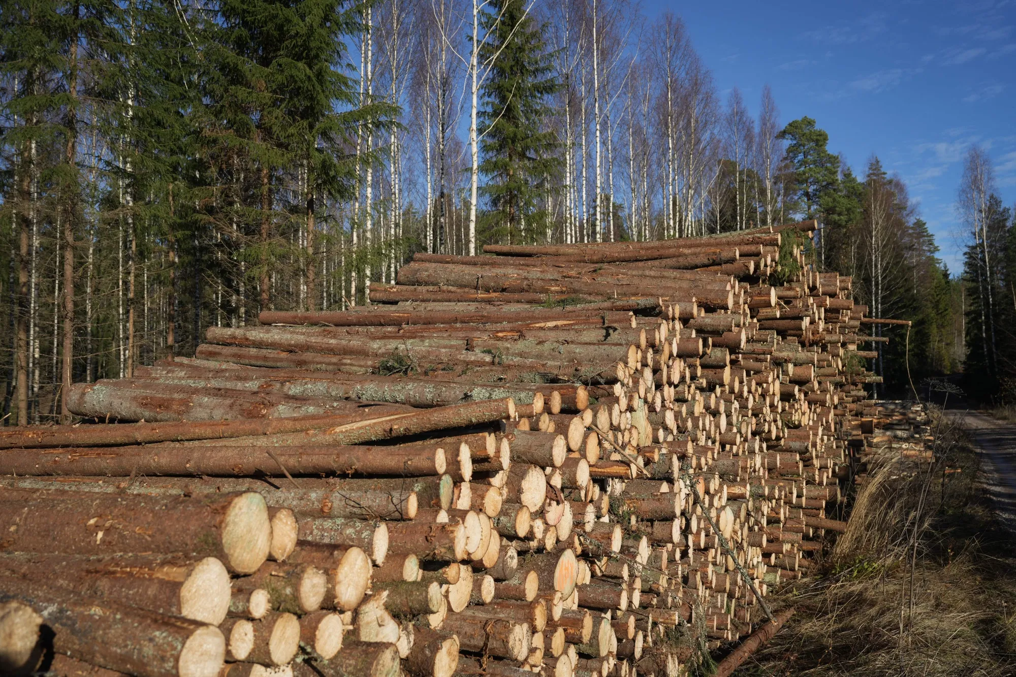 Logging in southern Finland.