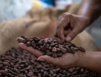 relates to Cocoa Futures Advance With Supply Concerns Back in Focus