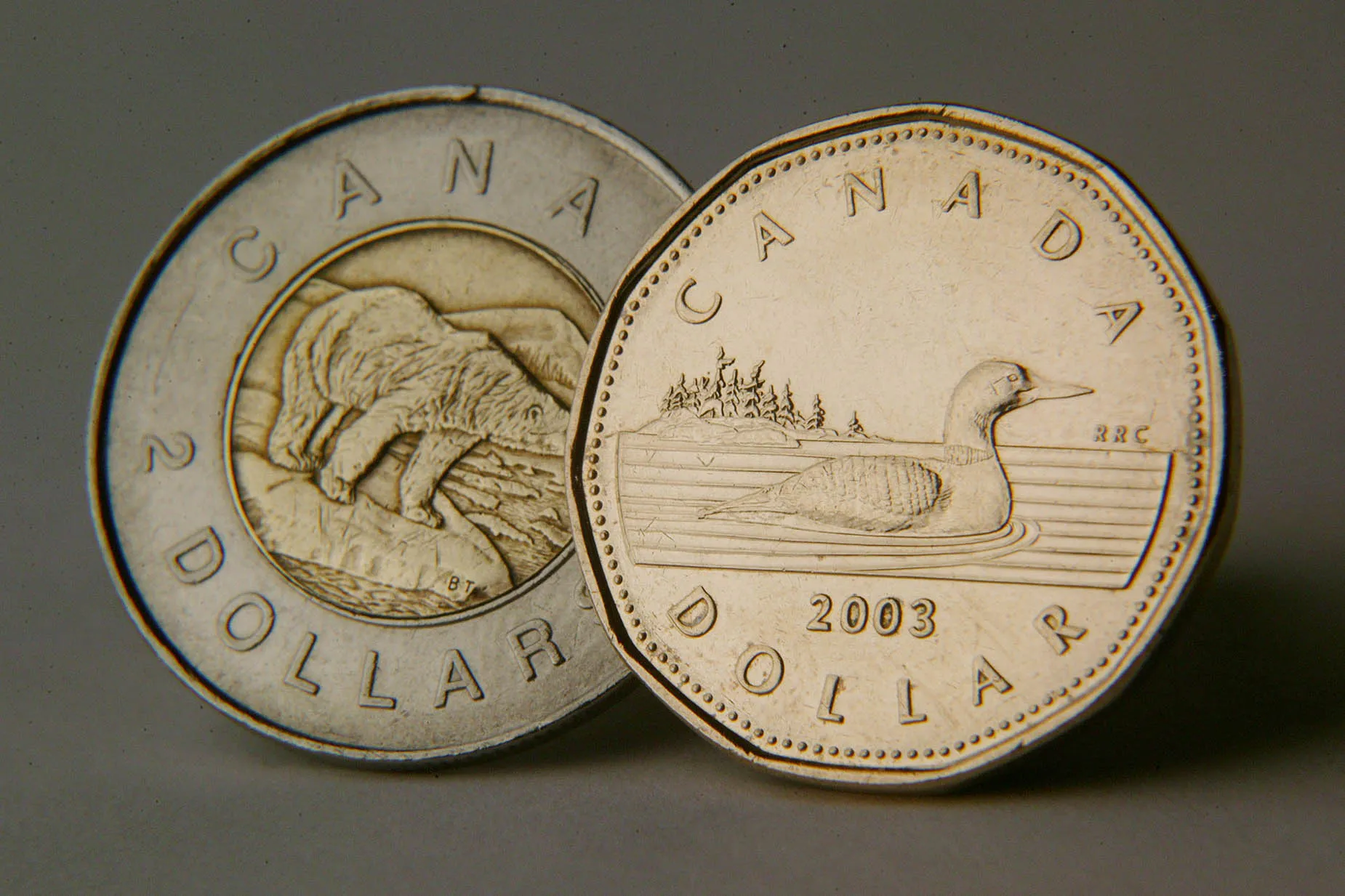 Canadiian dollars are pictured in Toronto on March 26, 2005.
