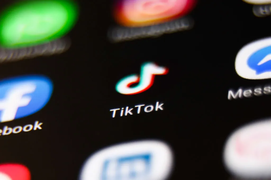 The TikTok app.