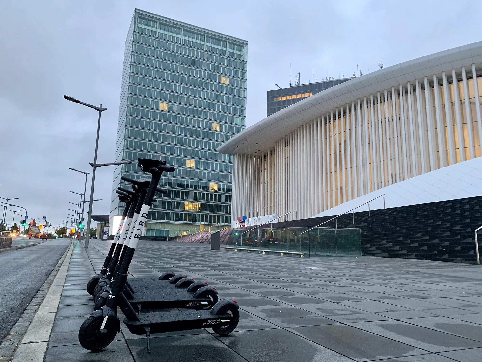 Bird e-scooters in Luxembourg City.