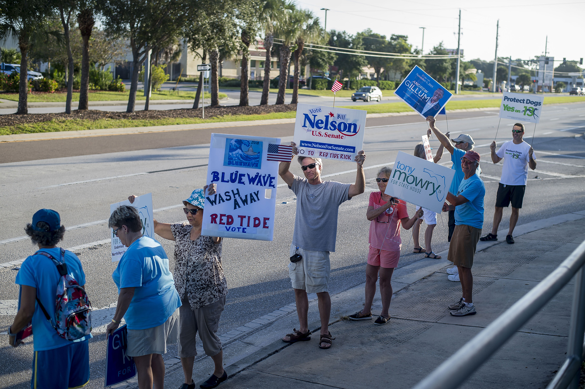 Clean Up City of St. Augustine, Florida: Florida’s Algae Blame Sticks ...