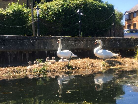 Want to See London the Socially Distant Way? Try Kayaking the Canals