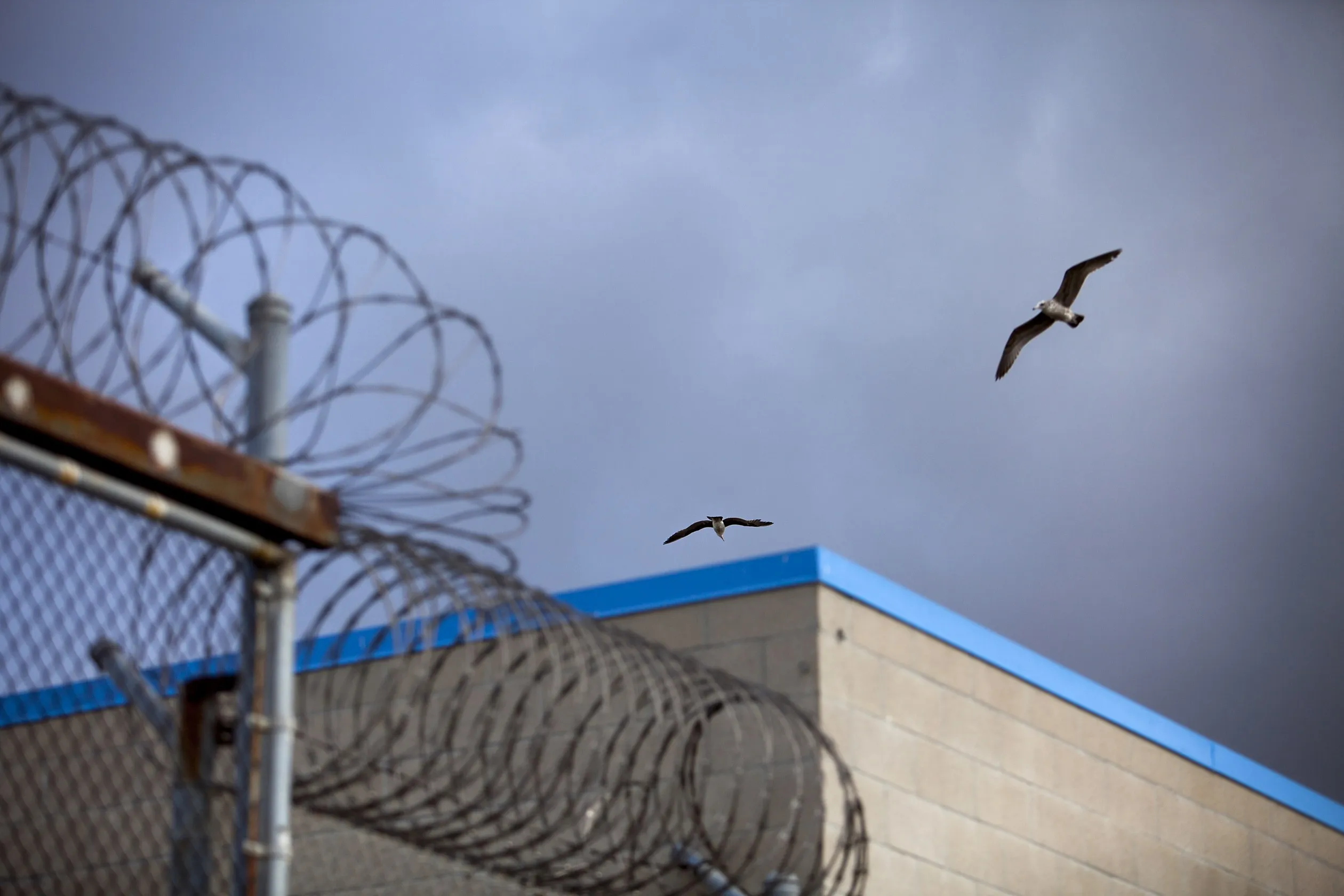 Inside The Richard J. Donovan Correctional Facility As California Readies $793 Million Prison Expansion Bond