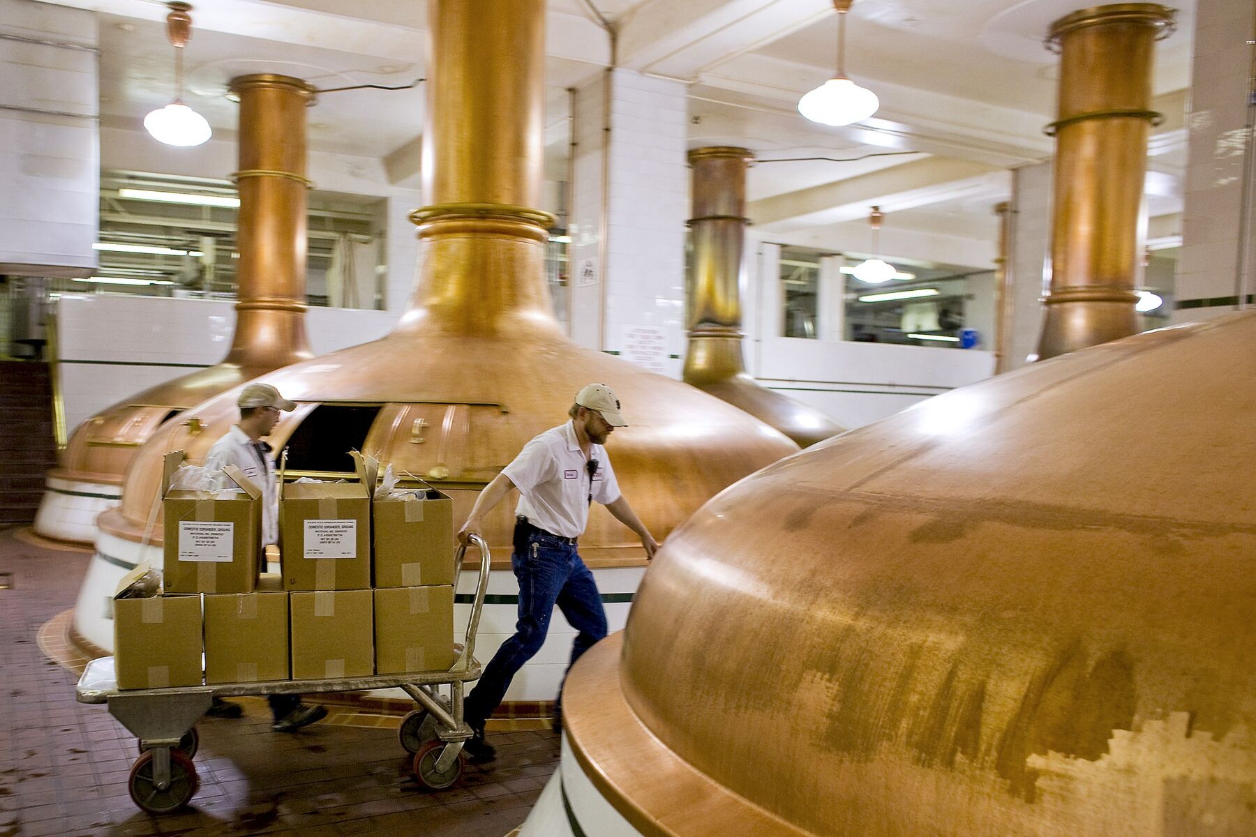 U.S. Beer Industry Blames Trump Tariffs for 40,000 Job Losses Bloomberg