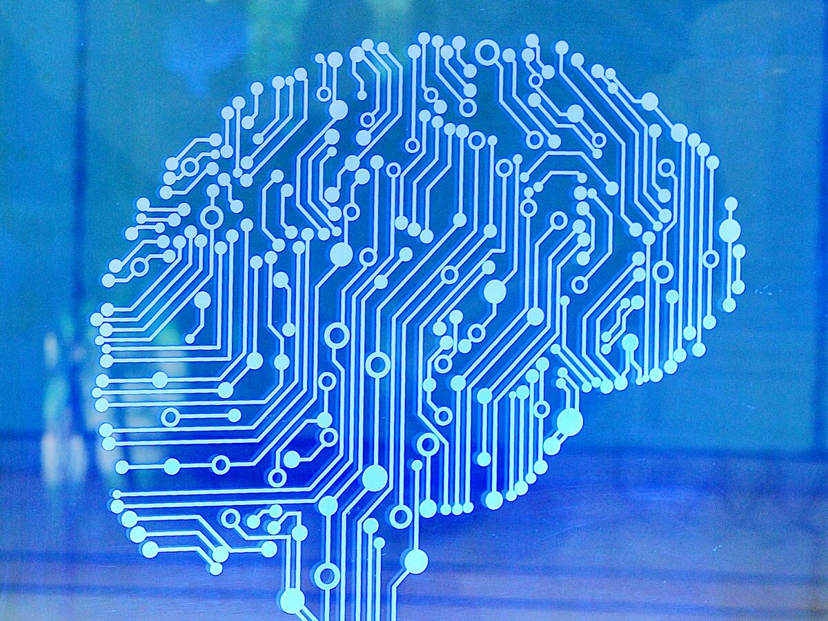 Europe May Need Agency for Artificial Intelligence, Germany Says