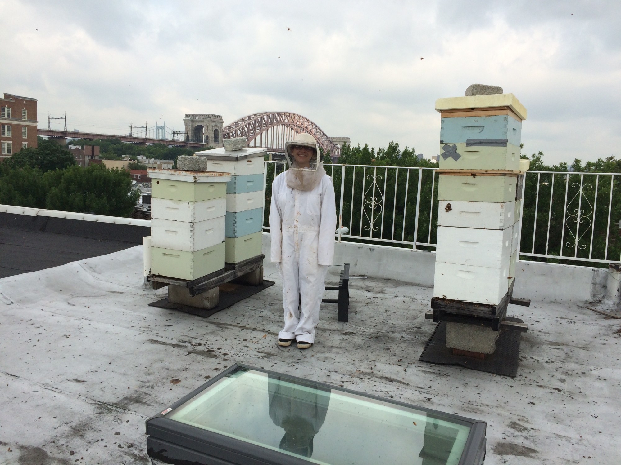 Honeybees are Predictors of a City's Health, New Research Finds