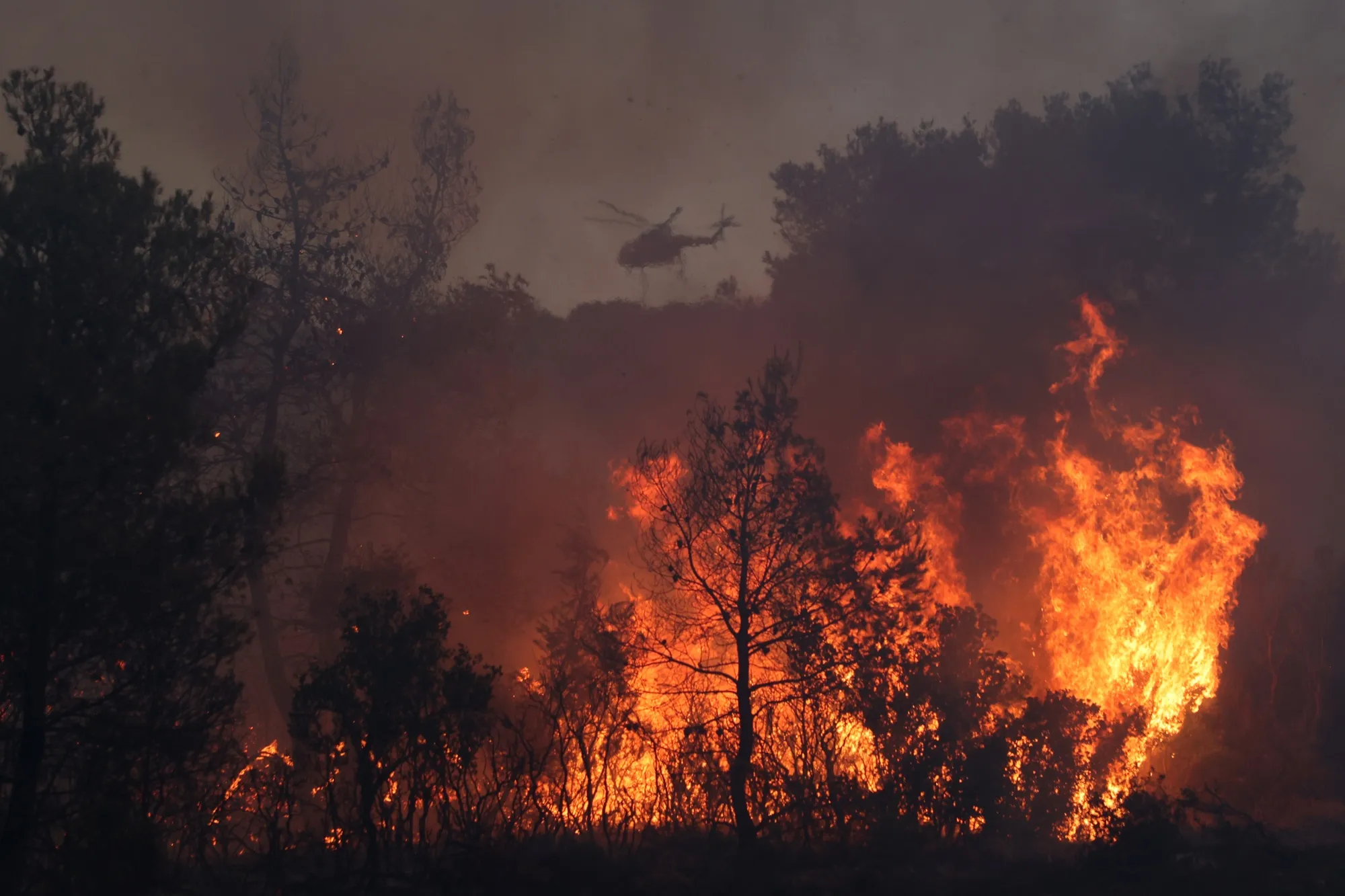A firefighter helicopter drops water as teams conduct extinguishing works by land and air to control wildfires in Palaiochori near Athens, Greece.