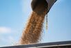 Soybeans Slump As Trump Threatens More Tariffs On China Goods