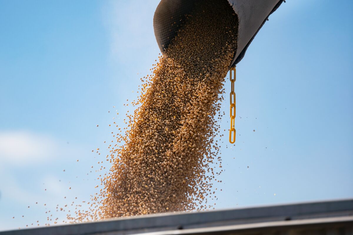 assets.bwbx.io image