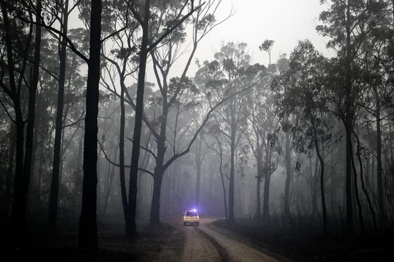 Deadly Australia Fires Spur Calls to Mitigate Disaster Risk