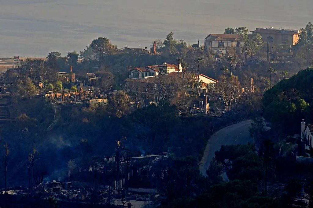 Along a stretch near Saddle Peak in the Santa Monica Mountains, some homes were destroyed while others were undamaged by the Palisades Fire.&nbsp;