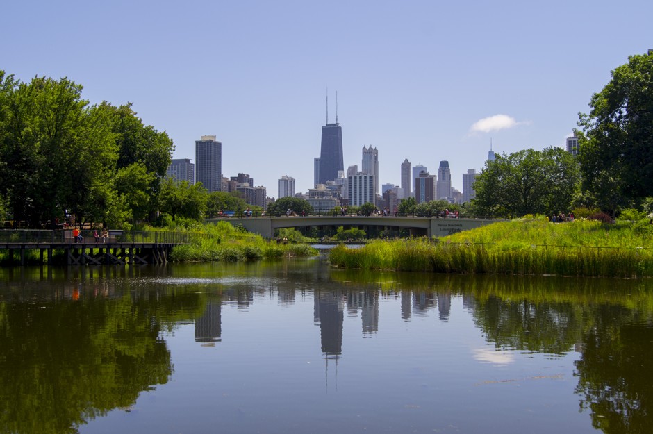 Chicago Neighborhood Reflections
