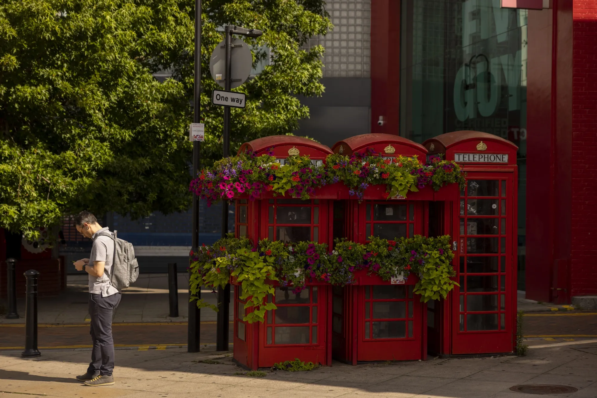 A smartphone user and a row of red British telephone boxes.