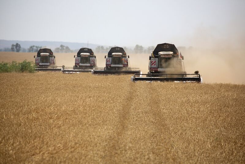 Russian Wheat Harvest Helps Ease Global Grain Shortfall