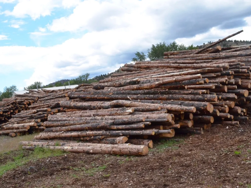 Malheur National Forest logs to be chipped in the&nbsp;torrefaction plant in John Day.