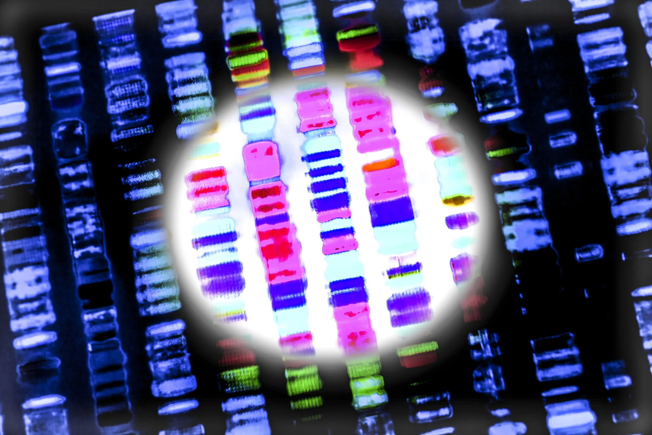 Cancer-fighting’s new frontier.
