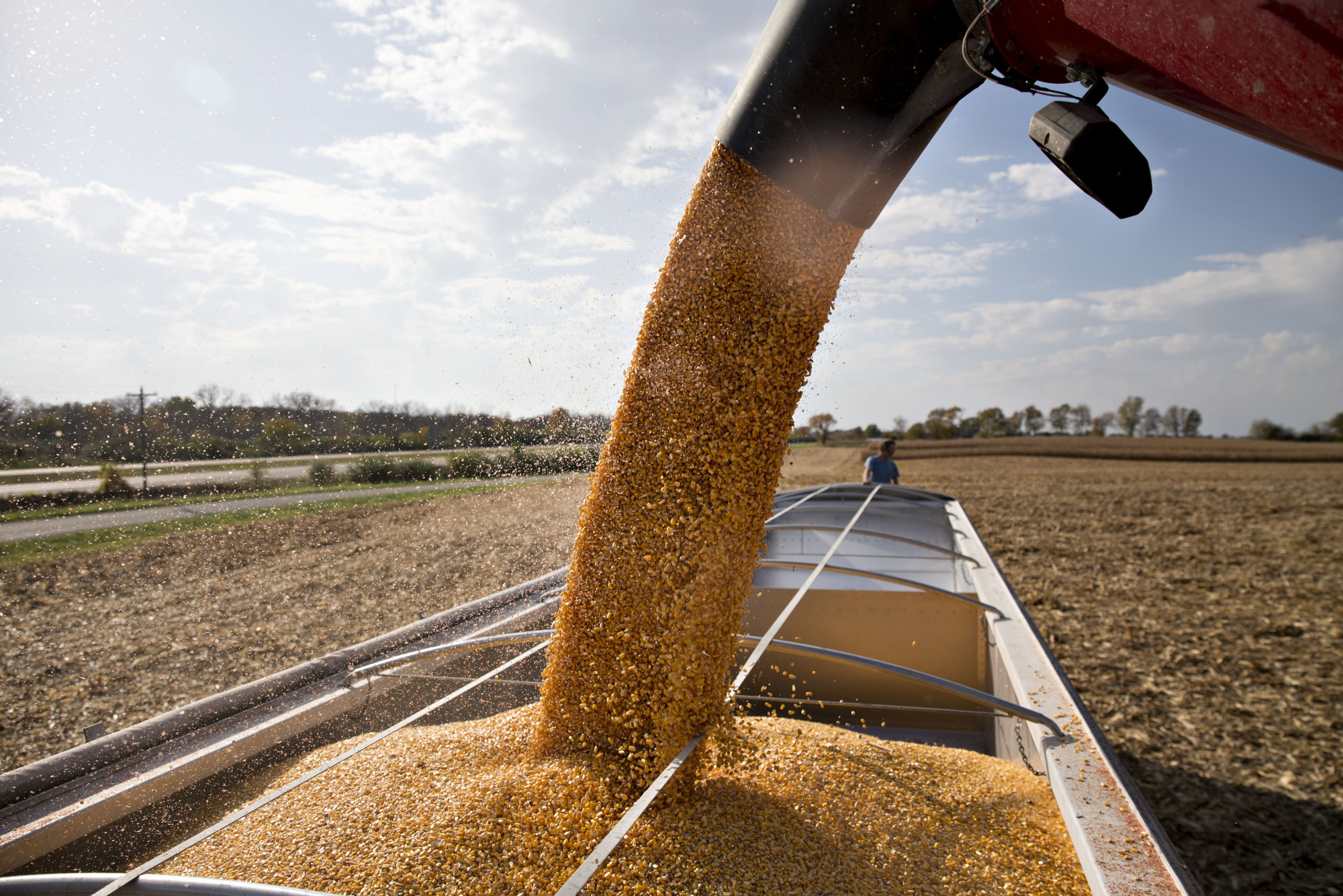 China’s Import Scrutiny Spurs U.S. Corn Cancellations - Bloomberg