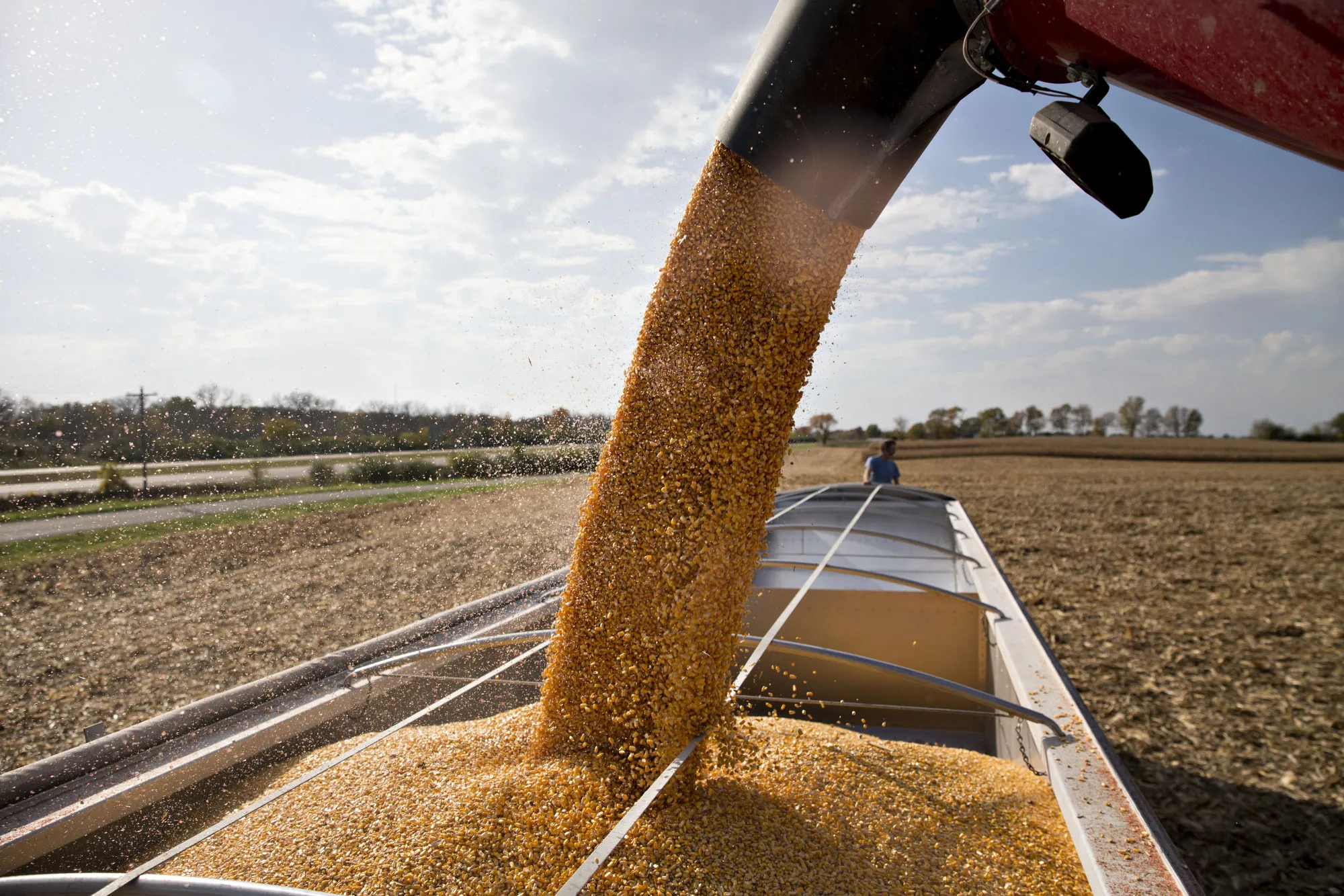Corn Harvest As Futures For December Climb