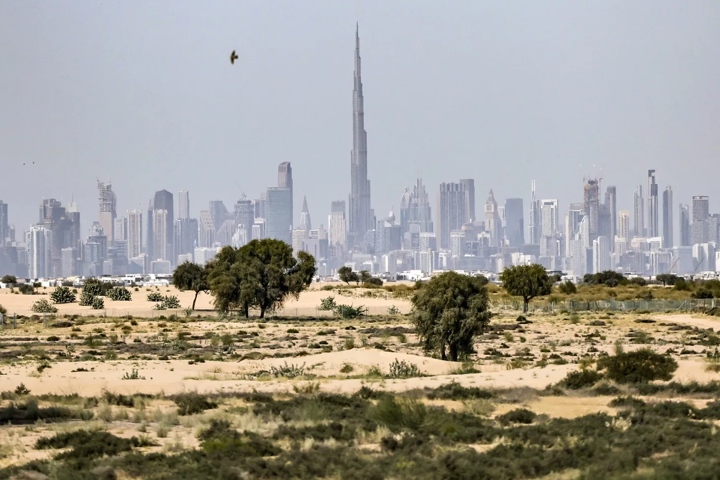 アラブ首長国連邦（UAE）のドバイ