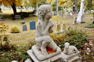 In America’s Cities of the Dead, Signs of New Life Emerge