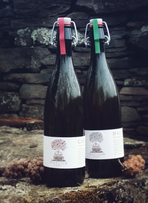 Wayside's Catskills cider briefly aged in oak barrels for a snappy but mellow draught.